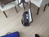 Vendo Acordeão Dino Baffetti com caixa