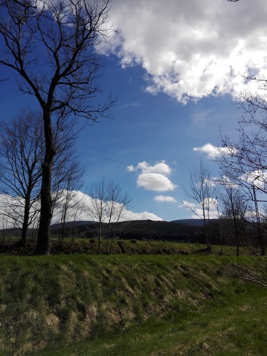 Działka budowlana Pobiedna / Czerniawa 1532 m2 przy drodze 358