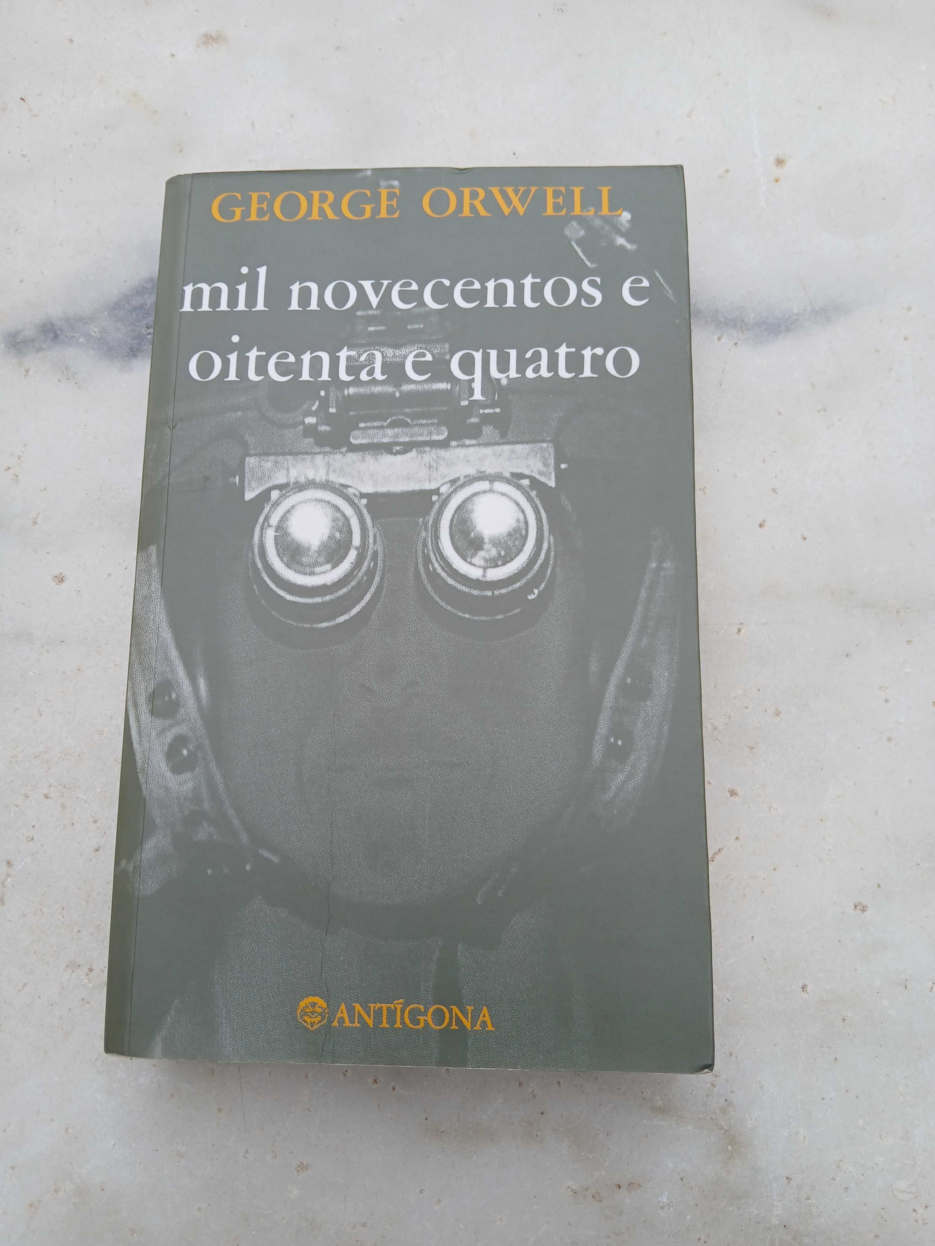 mil novecentos e oitenta e quatro - George Orwell