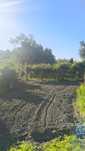 Arrendo terreno agrícola