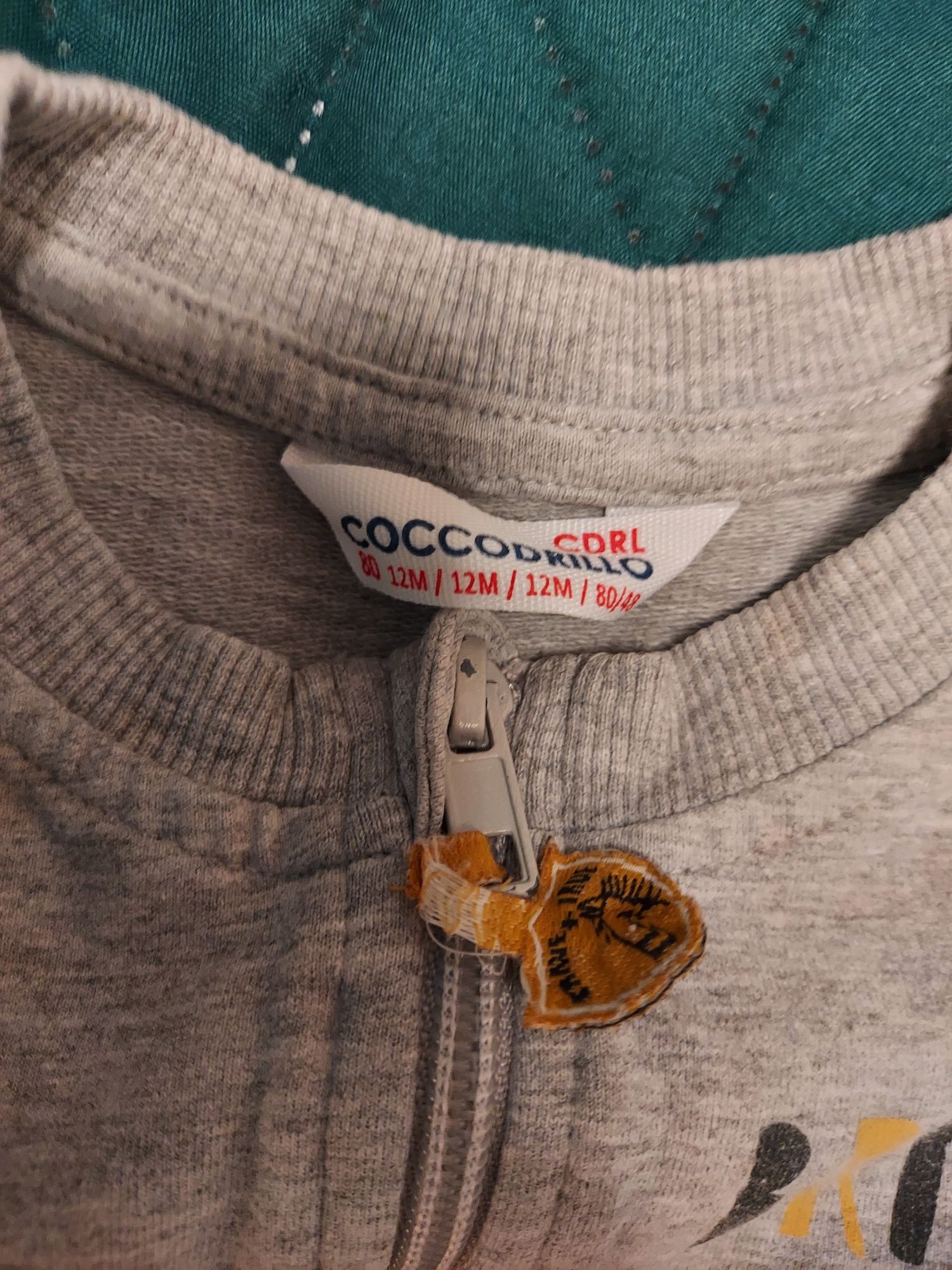 Bluza Coccodrillo rozmiar 80