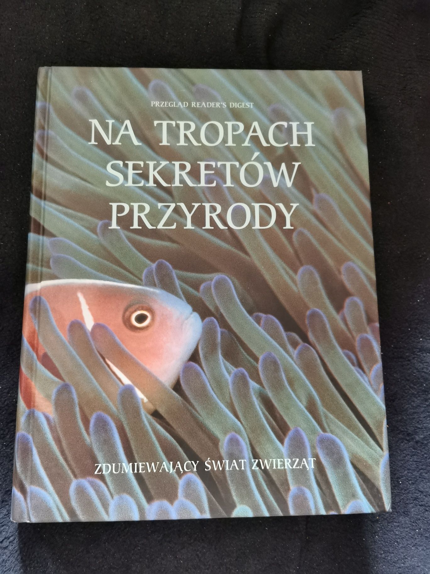 Na topach sekretów przyrody