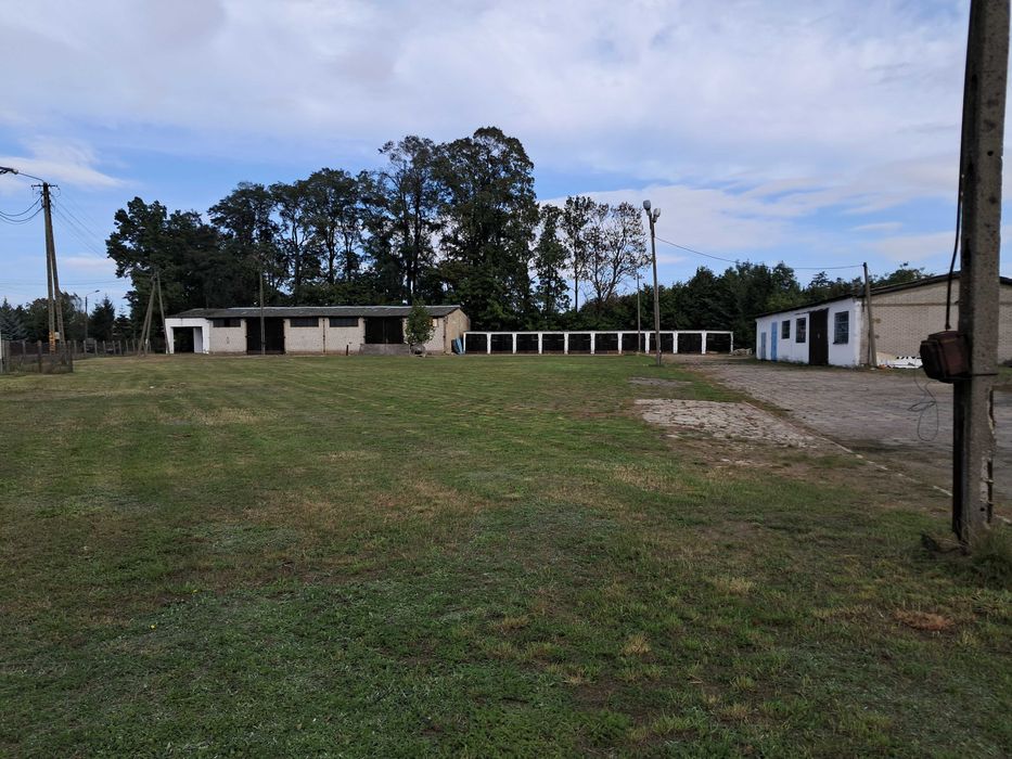 Nieruchomość do sprzedaży