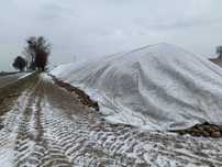Agro włóknina na pryzmy buraczane, cebule, marchew 110g/m2 6x50m