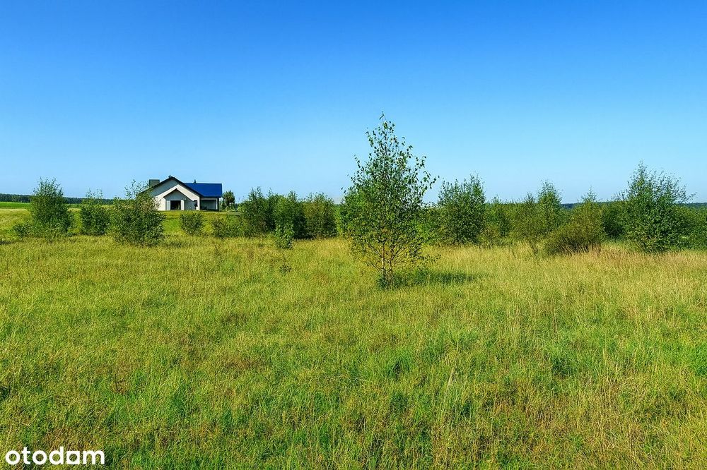 Działka w spokojnej okolicy wśród zieleni blisko Pruszcza Gd i Gdańska
