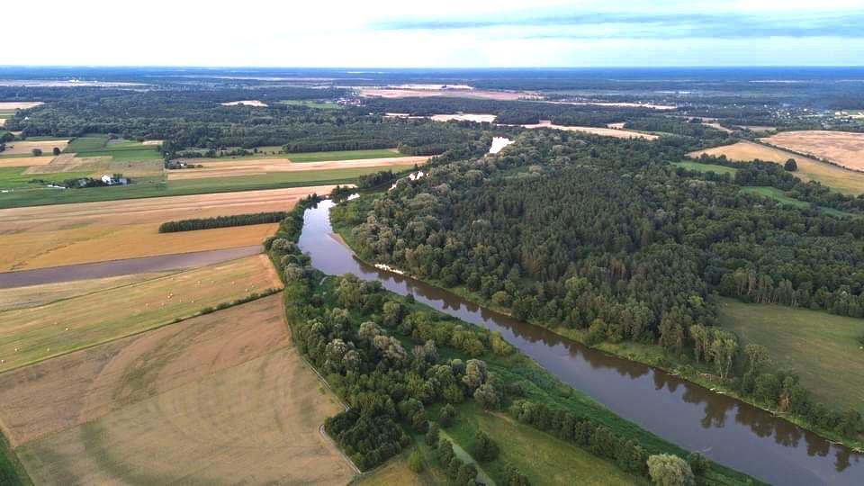 Wolne 7-11.11 Całoroczny na odludziu, jeden na posesji, sauna, balia