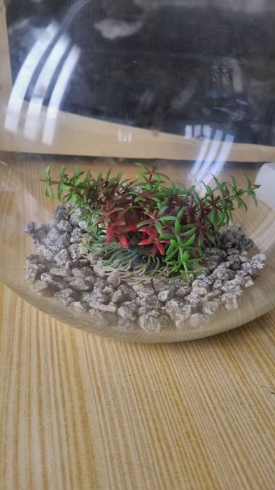 Vendo aquário com pedras e flor