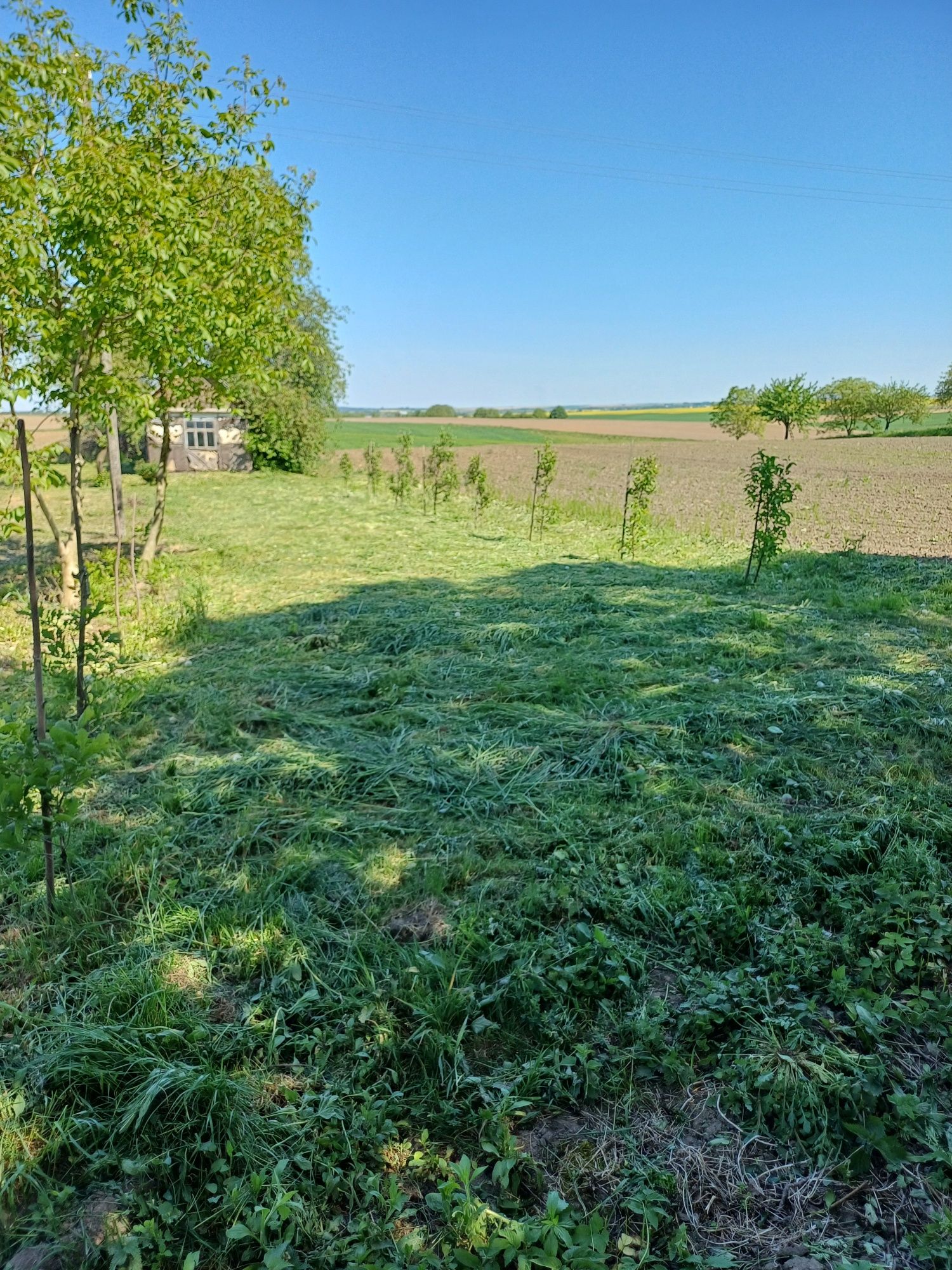 Продам земельну ділянку 26 соток