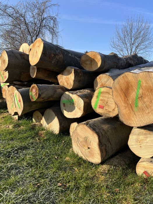 Drewno buk, bukowe,brzoza, iglaste sezonowane drzewo