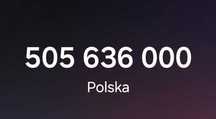 Złoty numer orange 505.636.000