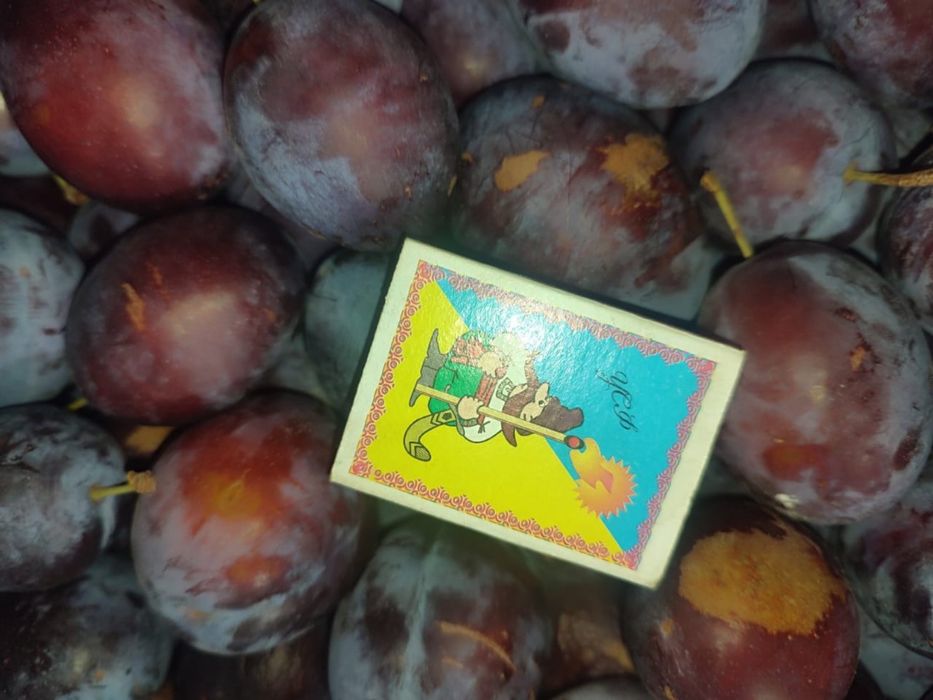 Охолоджена слива гуртом – Президент