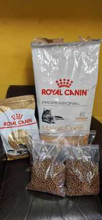 Royal canin Maine coon