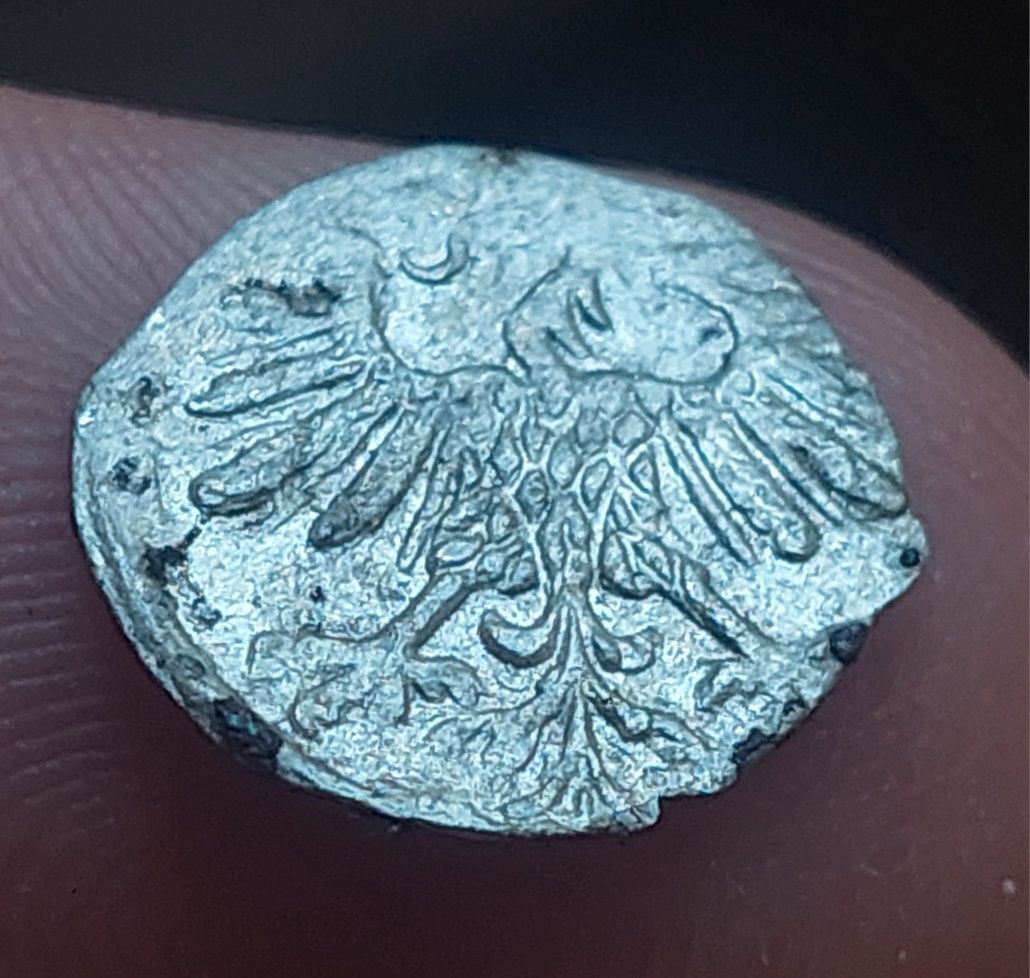 Denar 1559 Zygmunt II August