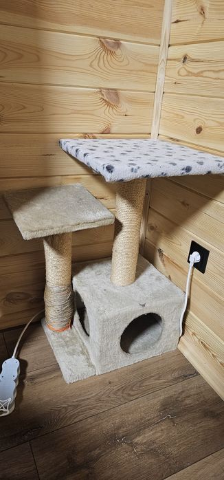 Cicha kotką i nie rysuje mebli