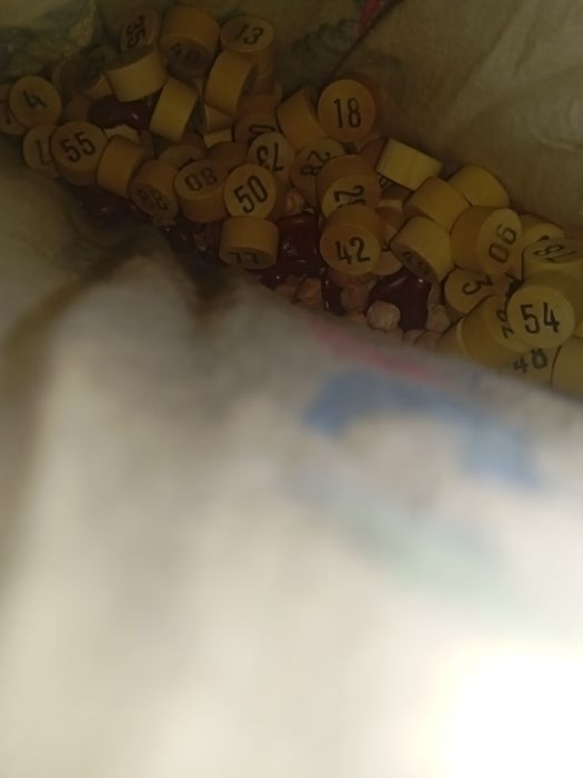 Jogo bingo não sei se é eta completo sem cartões