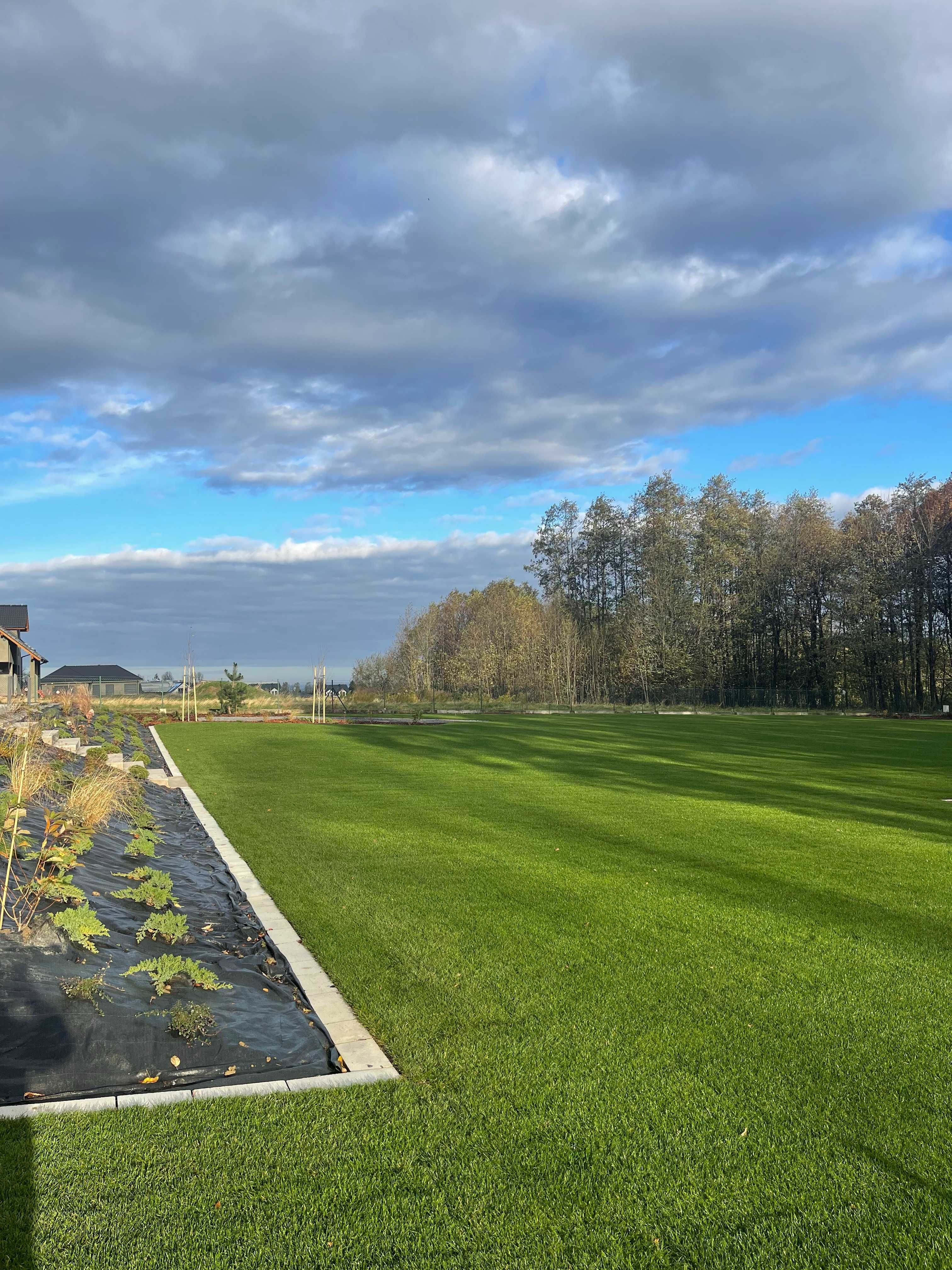 Trawa rolowana - darń trawnikowa
