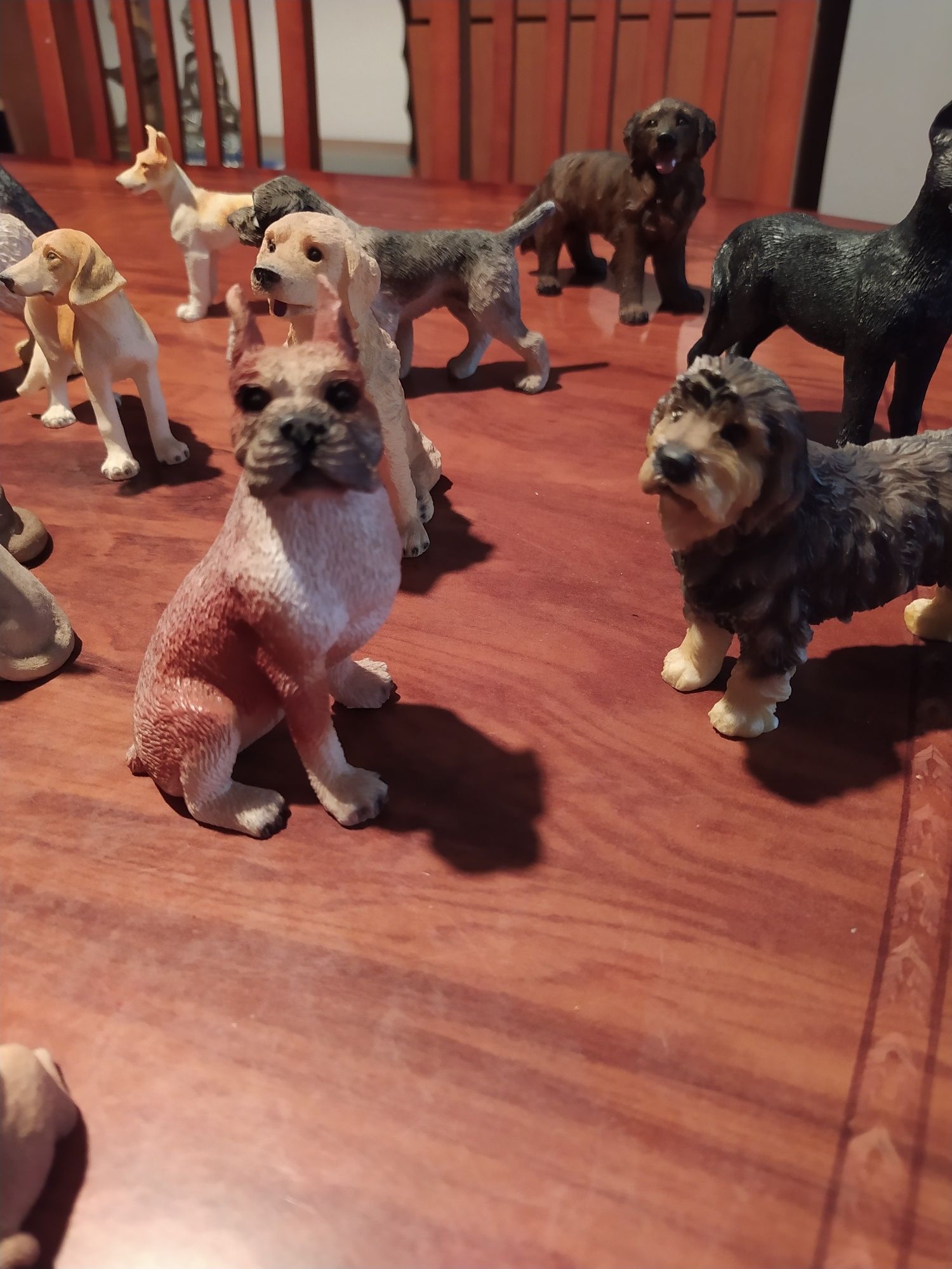 43 miniaturas de cães