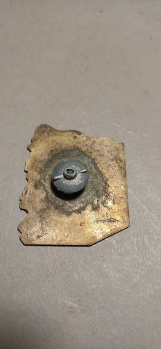 Odznaka turystyczna pttk samotnia