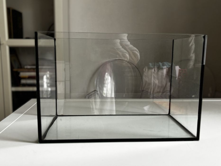 Акваріум для риб або равлика 37*25*20 см