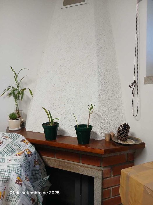 apartamento T1 no Fundão » tudo incluído
