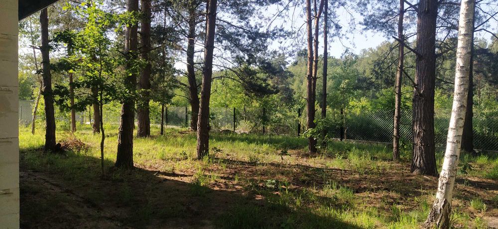 Dom w sercu lasu pod Warszawą, działka 1600m2