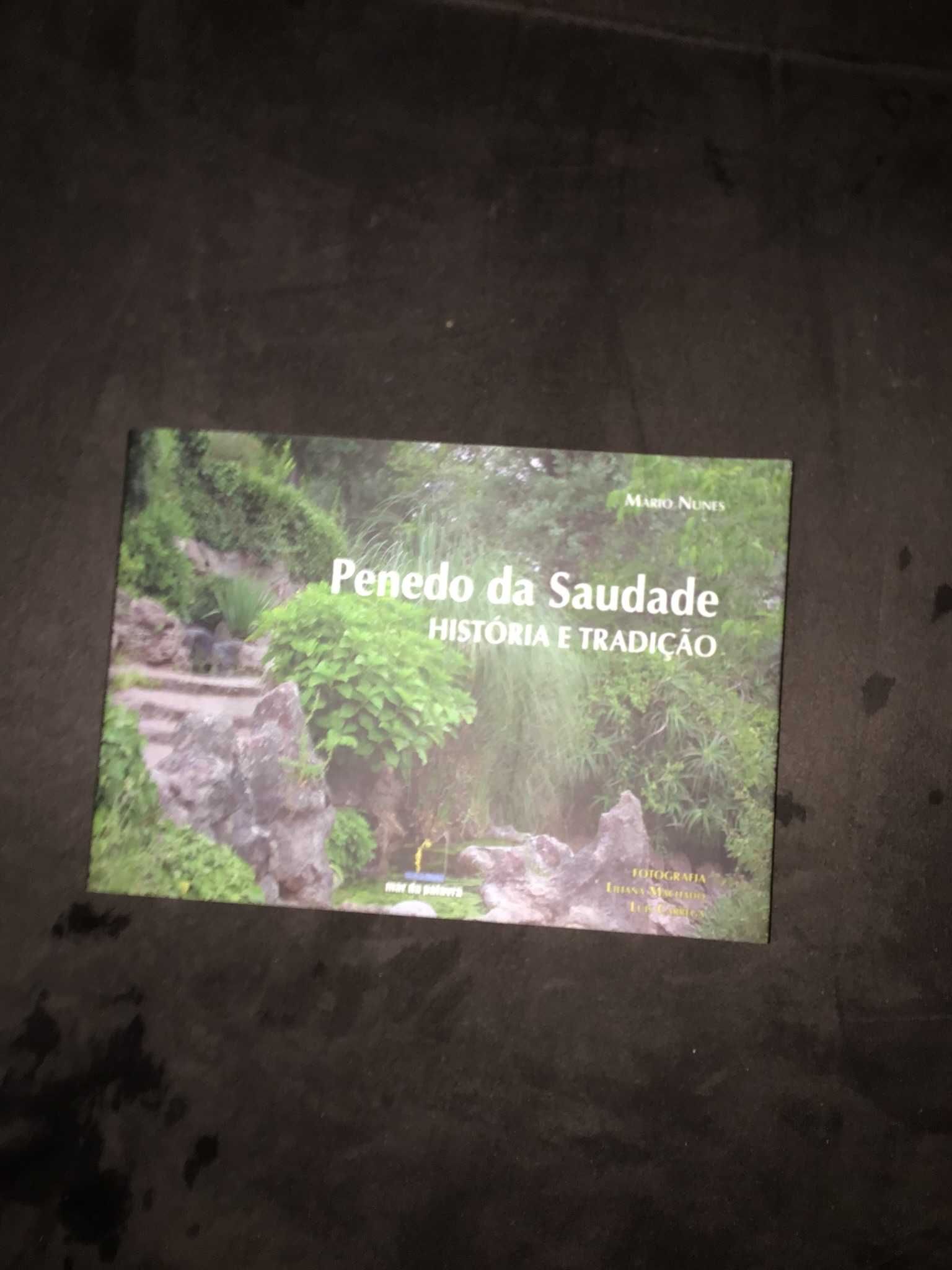 livro penedo da saudade historia e tradicao