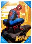 Quadro do Homem-aranha