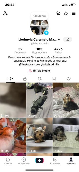 Йоркширские щенки