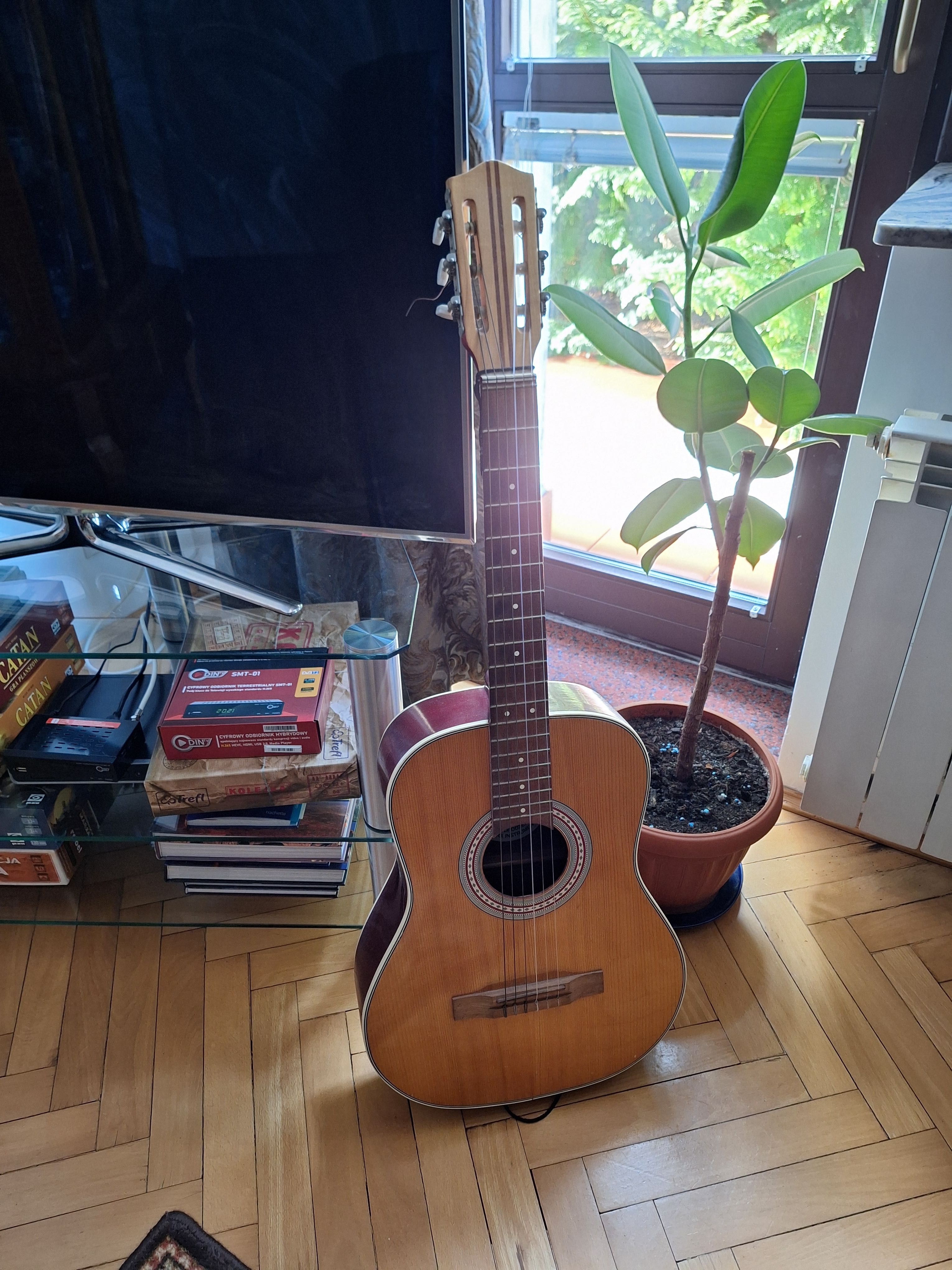 Gitara akustyczna