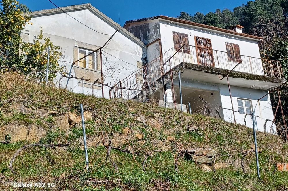 Quintinha com habitação e vinha no Douro