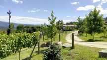 Terreno com 7300 mt Louredo Amarante