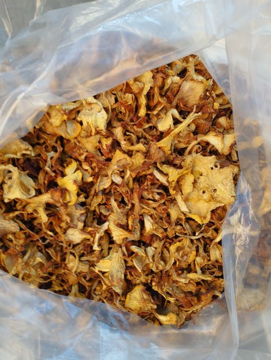 Лисички ціна за 1 кг.