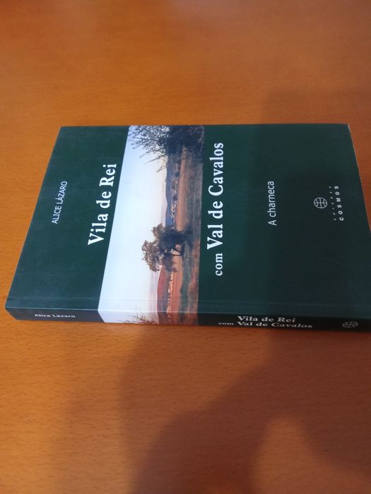 Vila de Rei com Val de Cavalos - A Charneca (Alice Lázaro 2009)