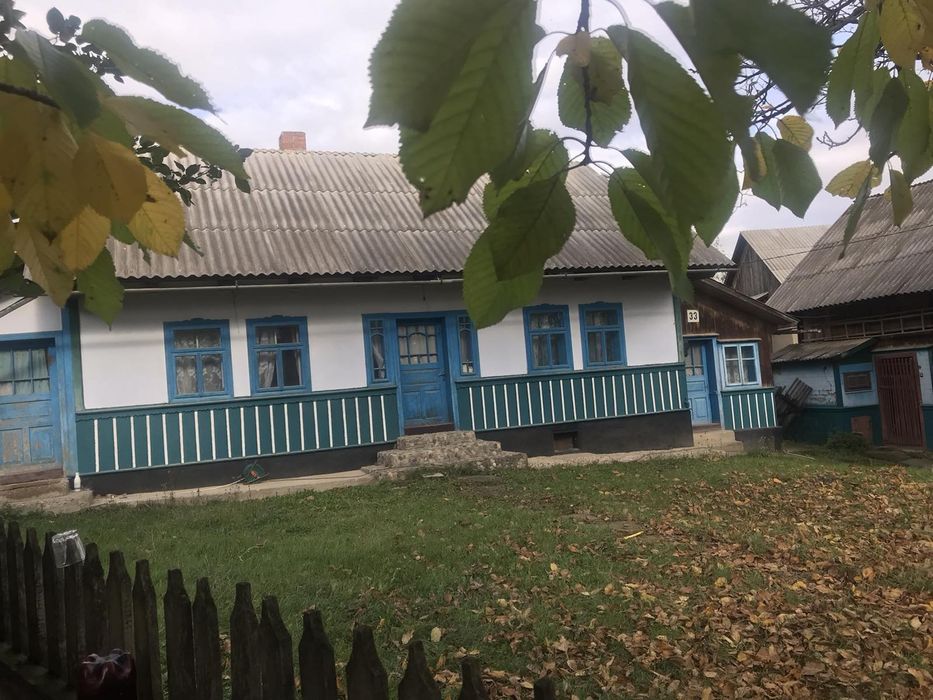 Продається будинок в селі Кам'янка