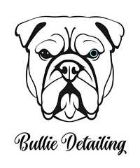 Bullie Detailing - czyszczenie samochodów z dojazdem