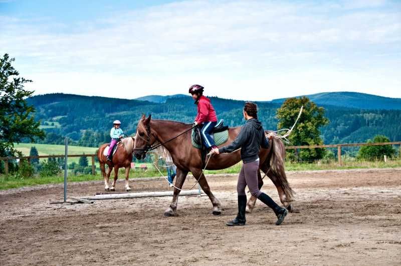 Geowłóknina na ujeżdzalnie, padok, lonżownik mata włóknina