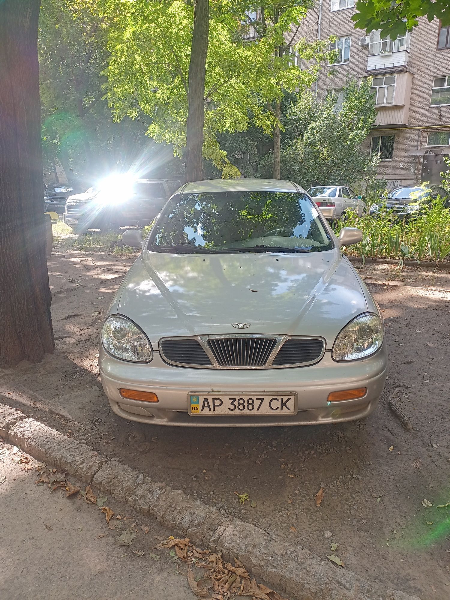 Леганза у гарному стані