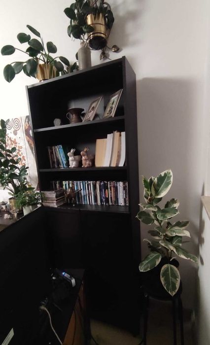 Regał Billy Ikea i witryna