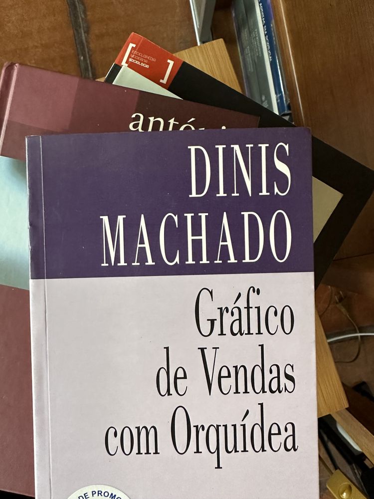 livro de Dinis Machado - Gráfico de Vendas com Orquídea
