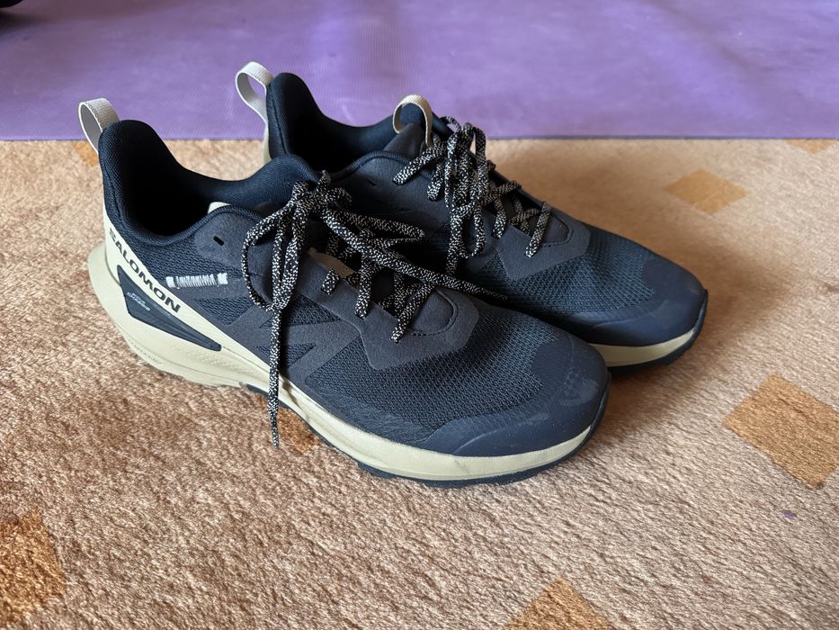 Кросівки Salomon Elixir Active чоловічі