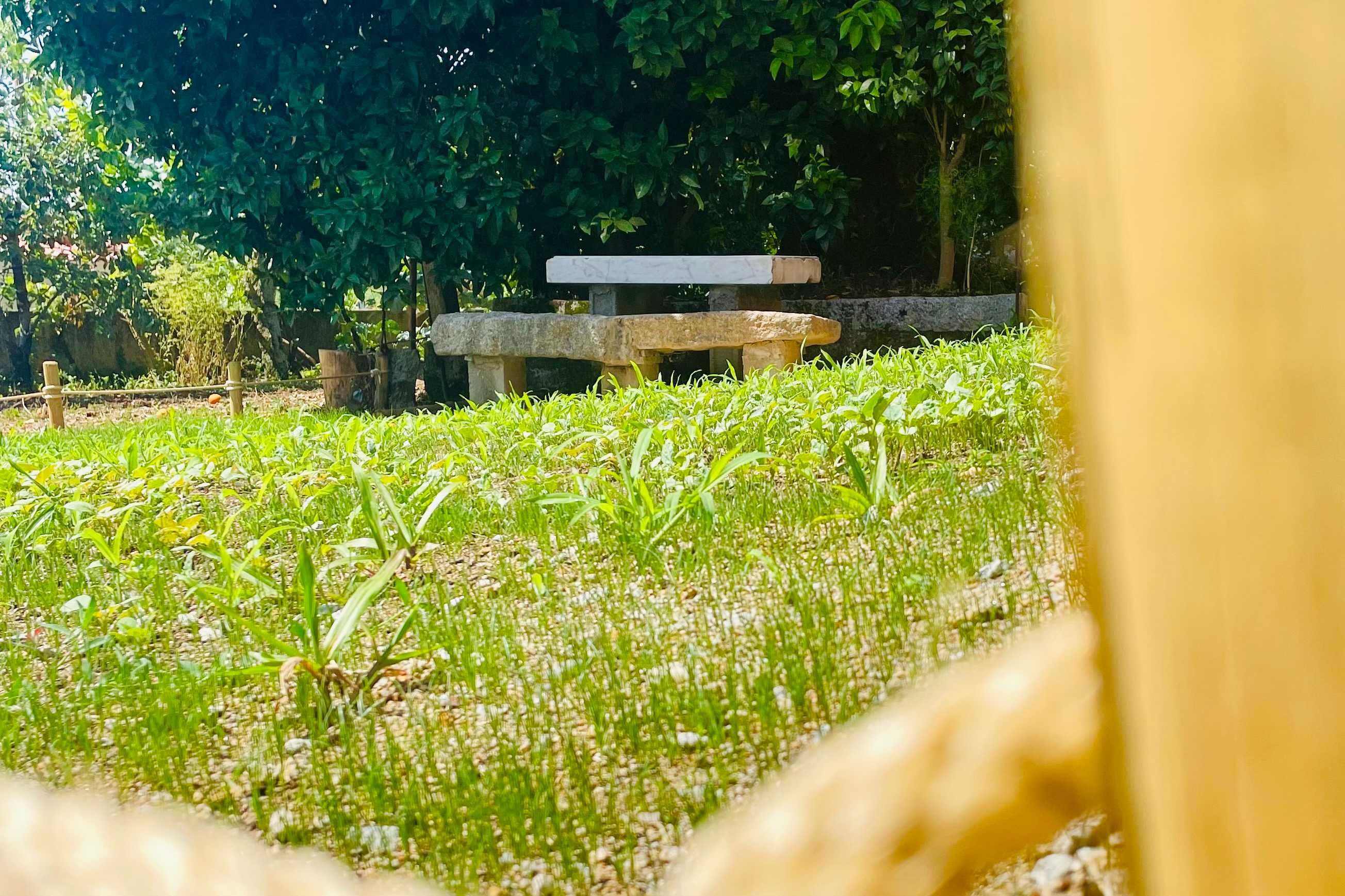 Refúgio de inverno: TinyHouse c/ internet rápida em Vila Verde (Braga)