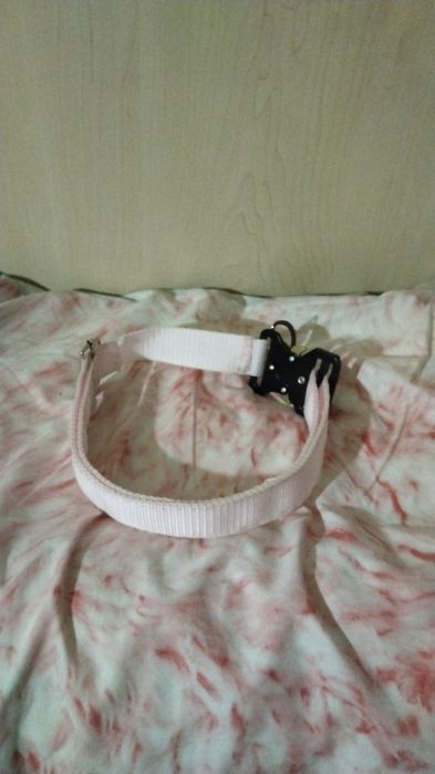 Ошейник на кобре