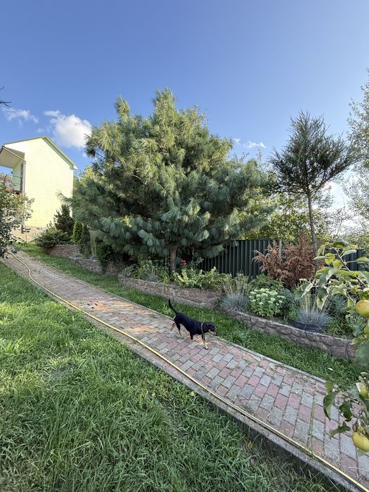 Окремий будинок готовий до заселення Левків, 8 км до Житомира