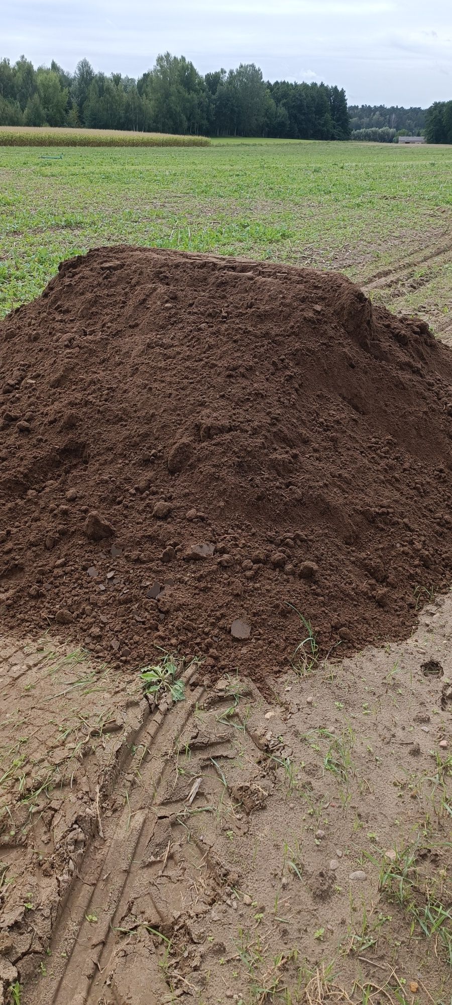 Żwir do betonu piasek płukany ziemia podsyp kamień płukany od 1 tony