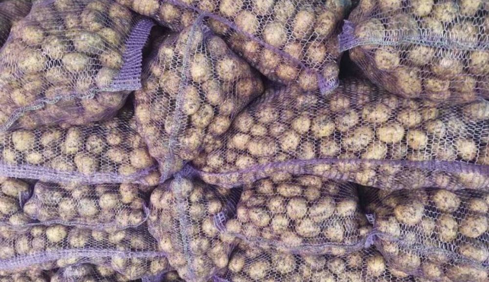 Продам мілку картоплю