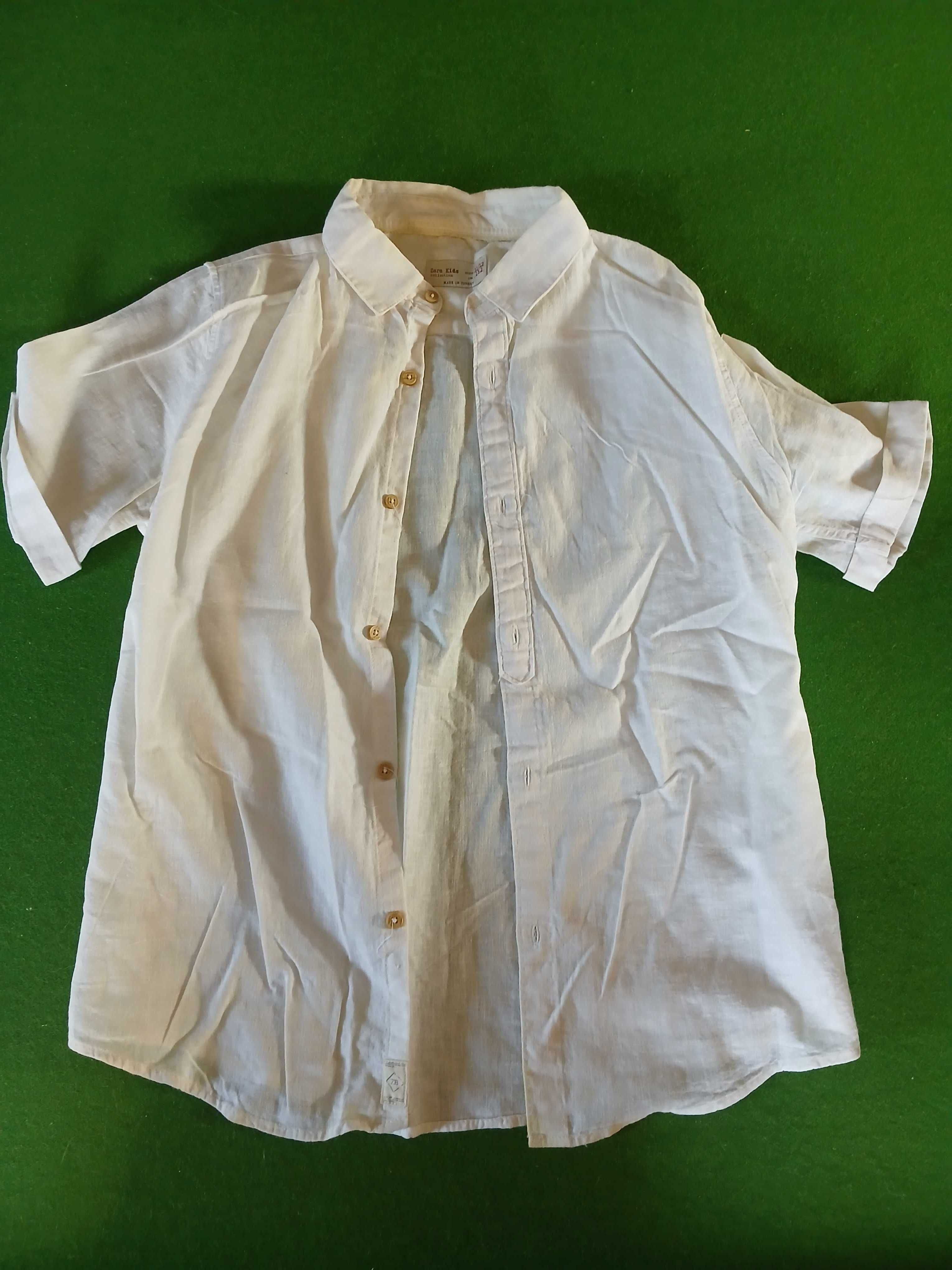 Zestaw koszul chłopiecych ZARA kids + Converse roz. 152 / size 11/12