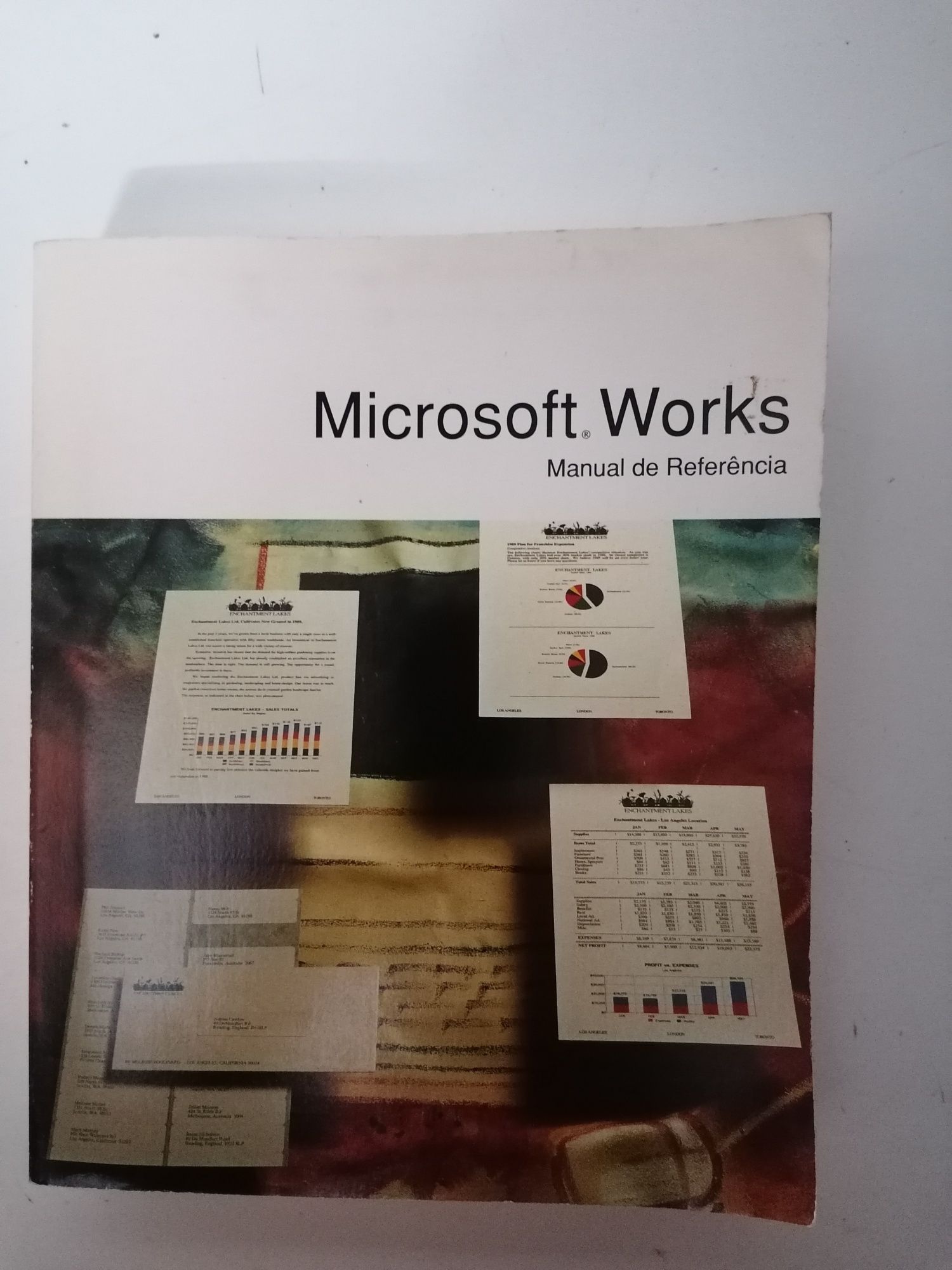 Livro Microsoft Works