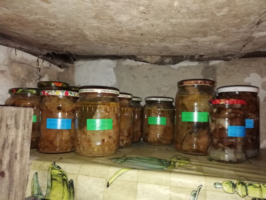 Prawdziwki podgrzybki kozaki