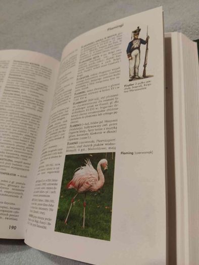 Encyklopedia Popularna PWN w super stanie