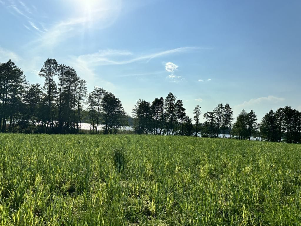 Działki nad jeziorem 3000m